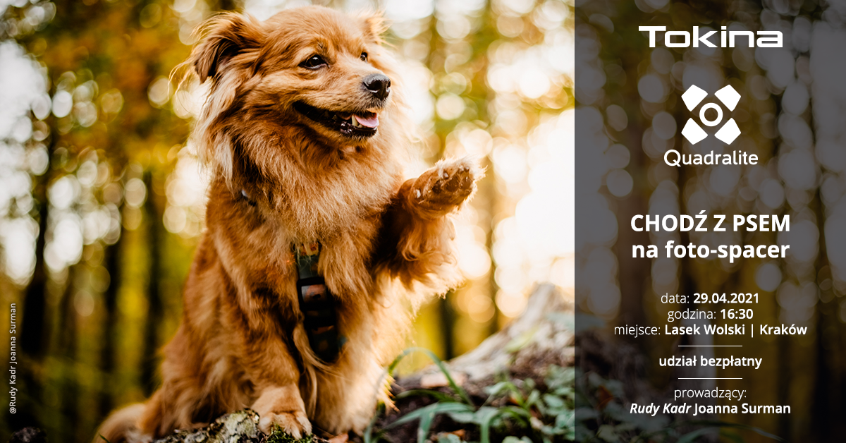 Komm mit deinem Hund zum Fotospaziergang!