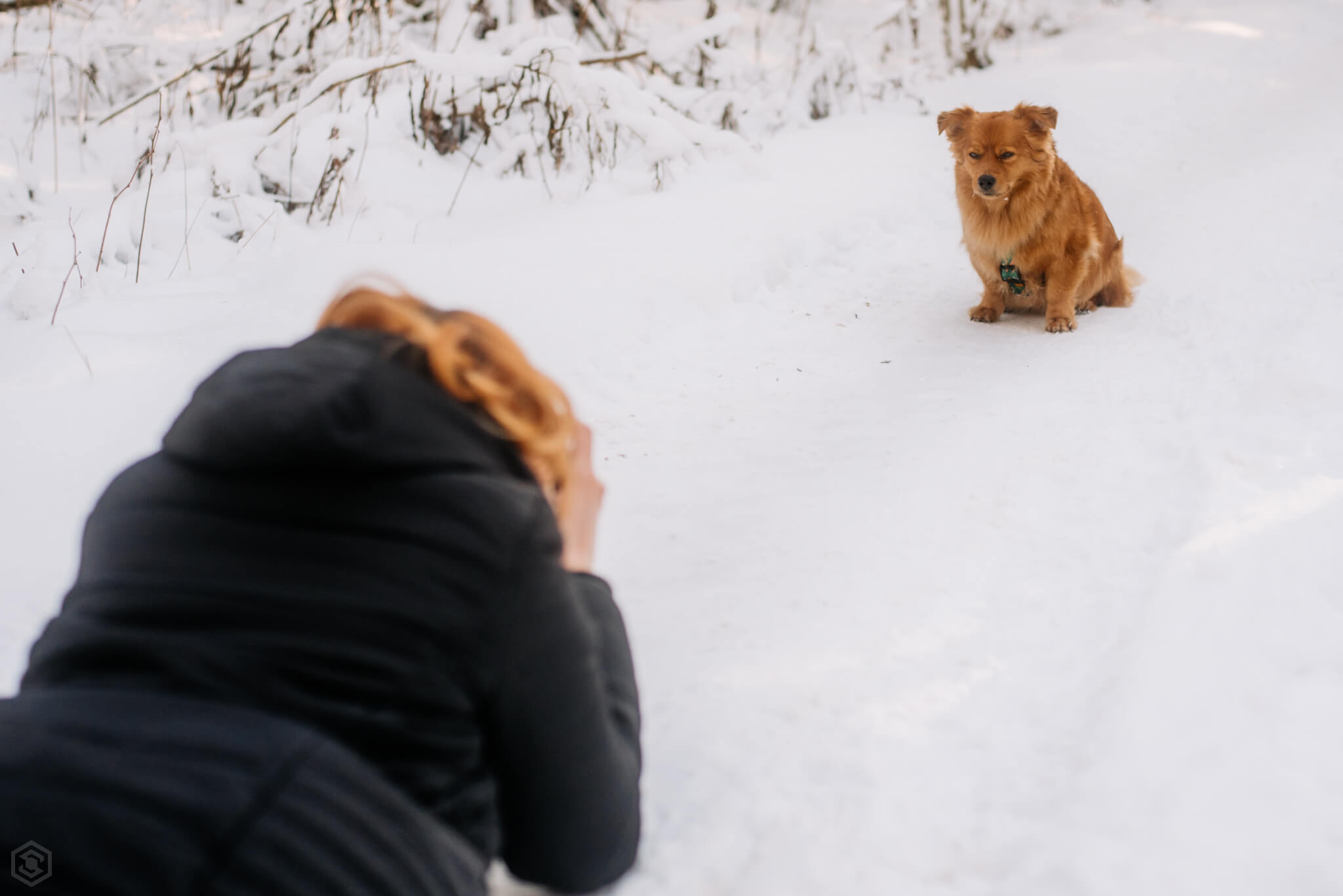 Bisogna seguire ciò che l’animale offre — 10