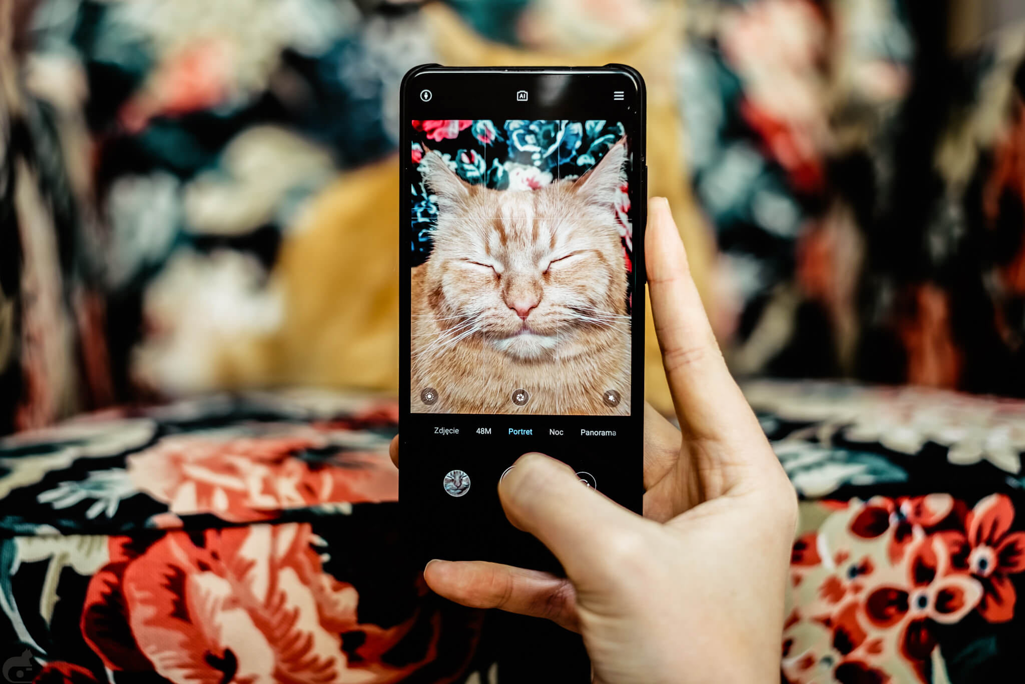 Bisogna seguire ciò che l’animale offre — 17