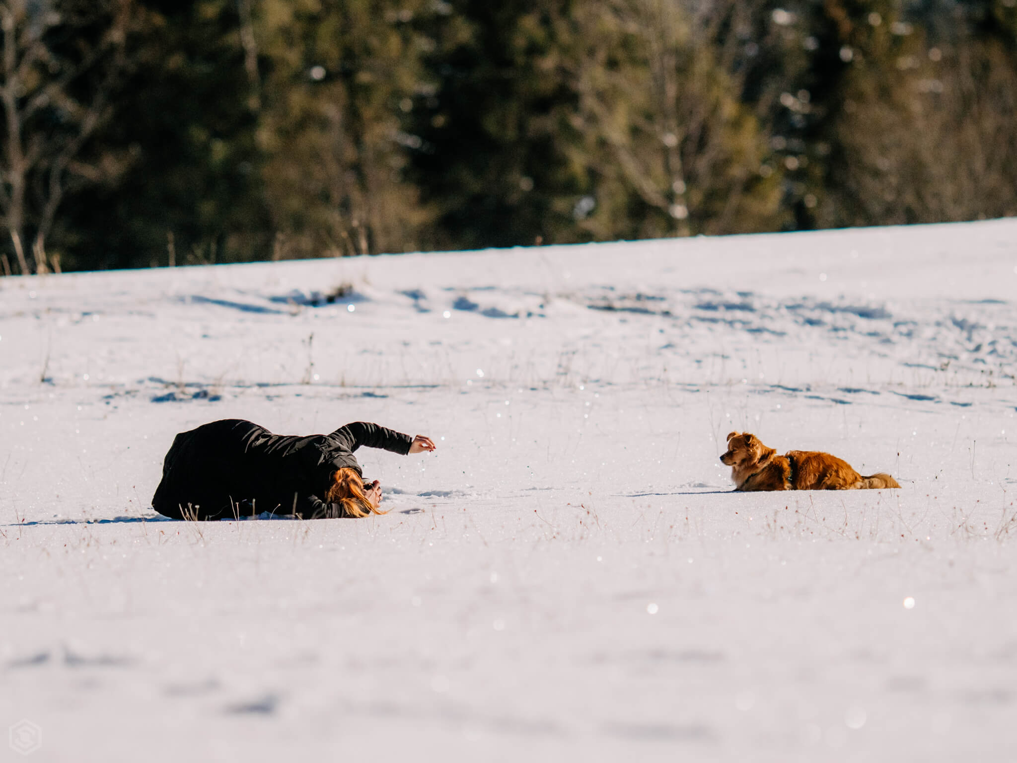 Bisogna seguire ciò che l’animale offre — 11