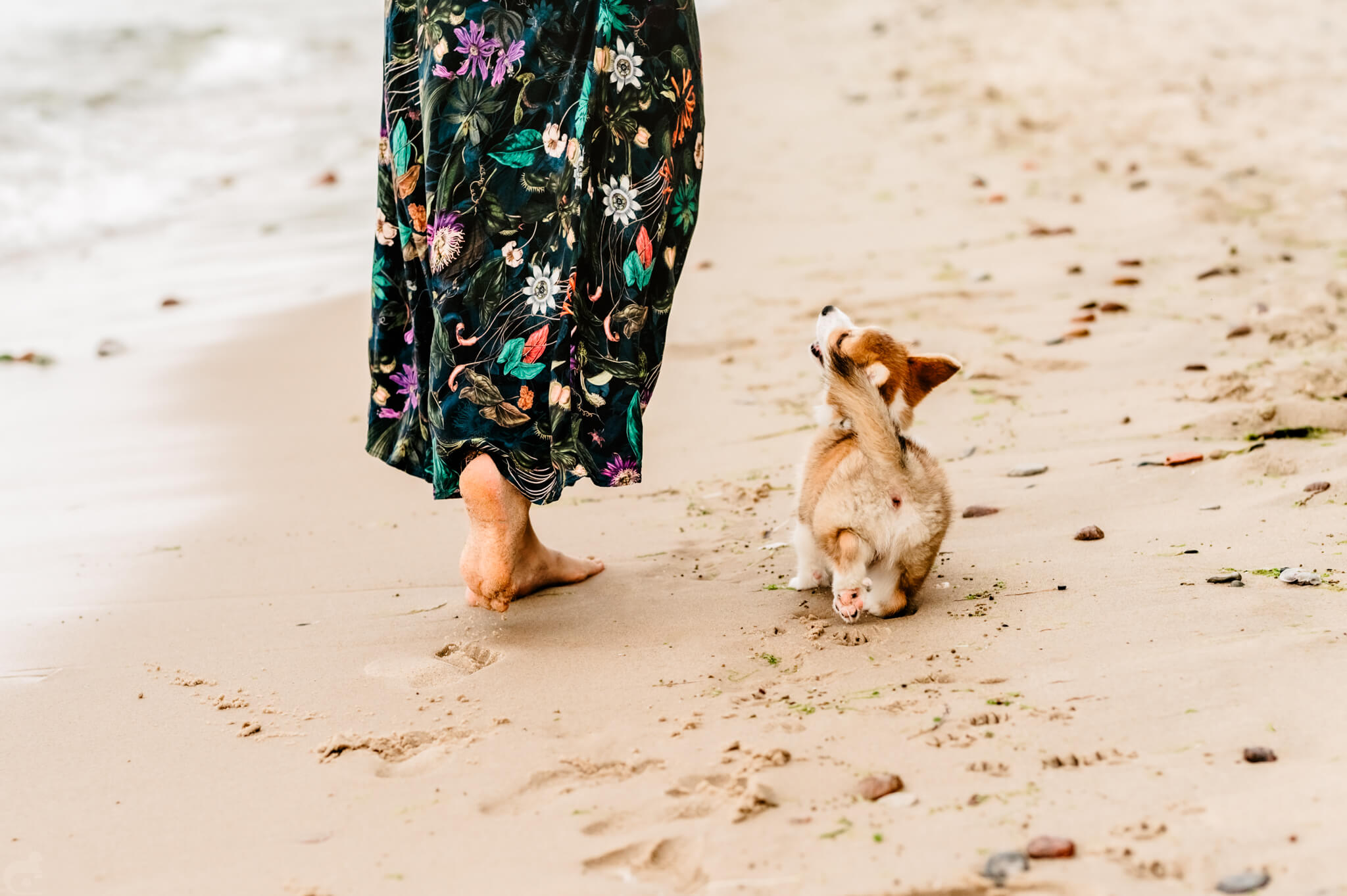 Bisogna seguire ciò che l’animale offre — 4